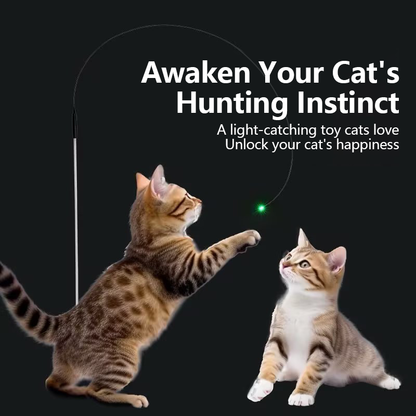 2026👉 Veterinarian Developed😻Laser Cat Teaser Stick😼Innovative Self-Play Fishing Rod & Hunting Toy for Cats