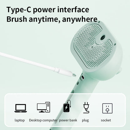 LIMITED-TIME OFFER: $26 off - Pet press spray massage comb