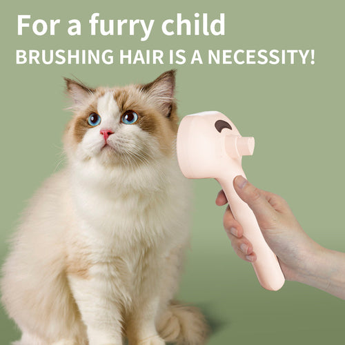 LIMITED-TIME OFFER: $26 off - Pet press spray massage comb